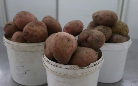 ������� �������� �������� � ��������� ��������