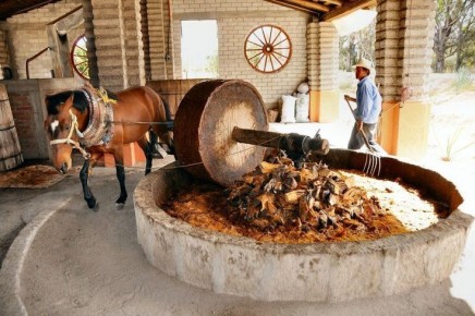 �������: �� ������ ������