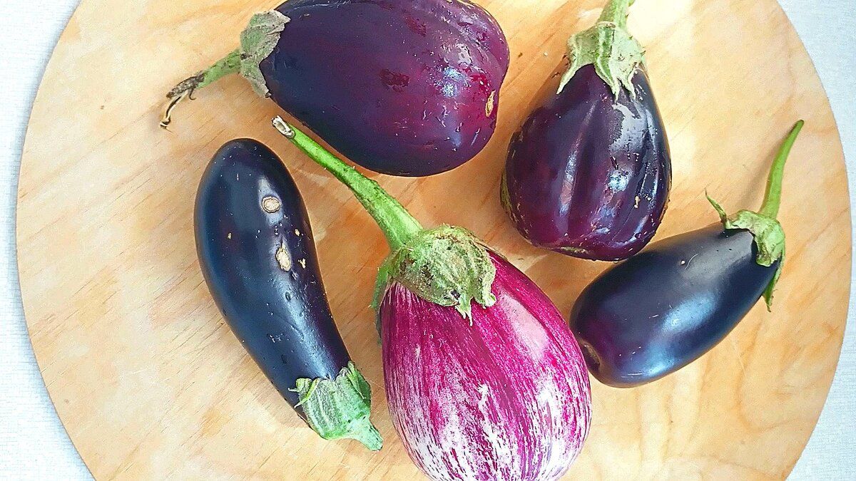 ���������: ������� ����, �������� ��� ��������