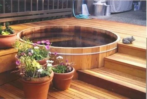 Купель на даче: доступные идеи для летнего отдыха