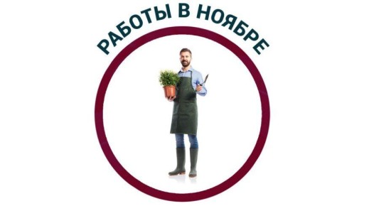 ������ � ����: �������������� �������� � ������ ����������