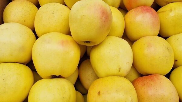 Рынок фреш: антимонопольщики выявили шокирующие ценовые накрутки на фрукты и овощи