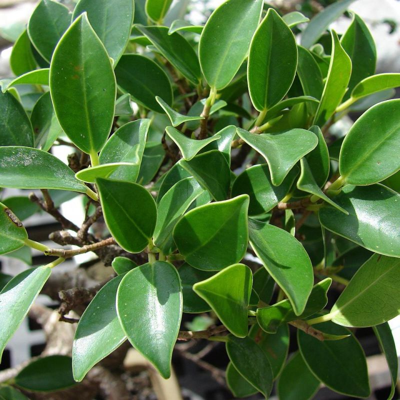 ������ ������ ������ �������� ��� ����� ����� ��������?