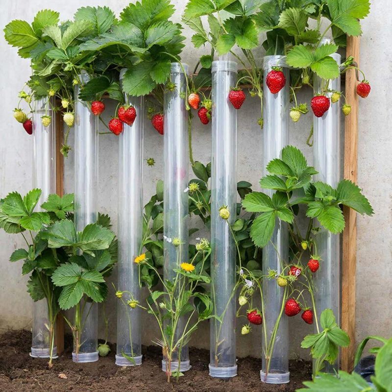 ������������ ������ �� ���-����: ������� ���������� ������� � ������������ ������������