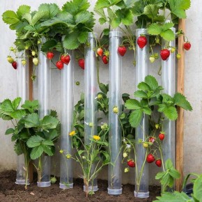 ������������ ������ �� ���-����: ������� ���������� ������� � ������������ ������������