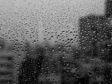 ������ �������� �� �������� ������: ��� �� �������� ������ � ����� ������