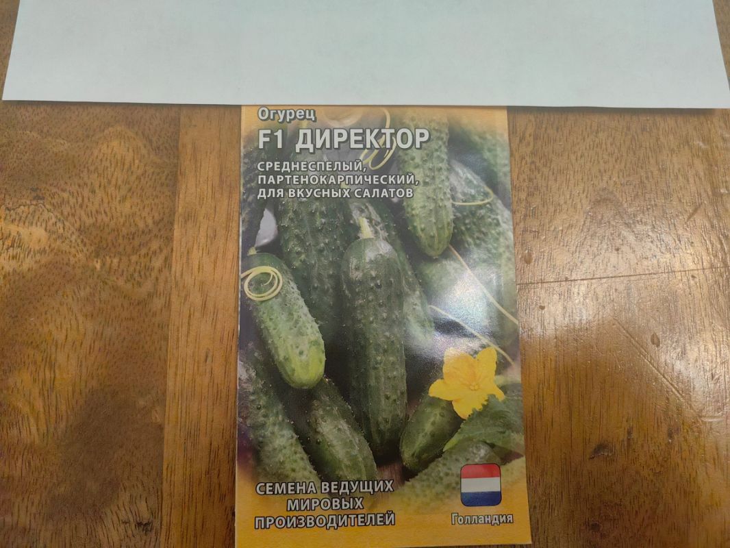 ������ ������ '��������' �� ������� ��� �����������: ���� ����������