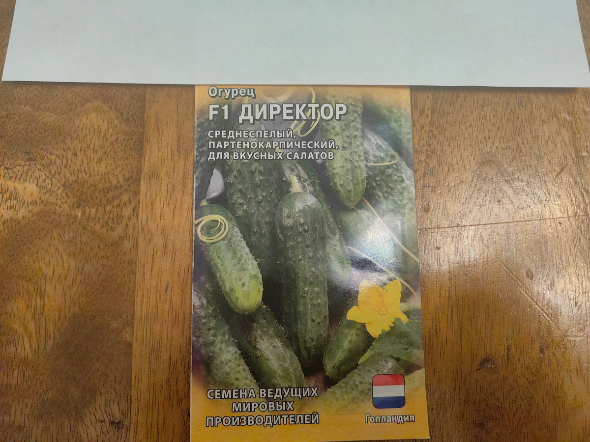 Почему гибрид 'Директор' не подошел для консервации: опыт огородника