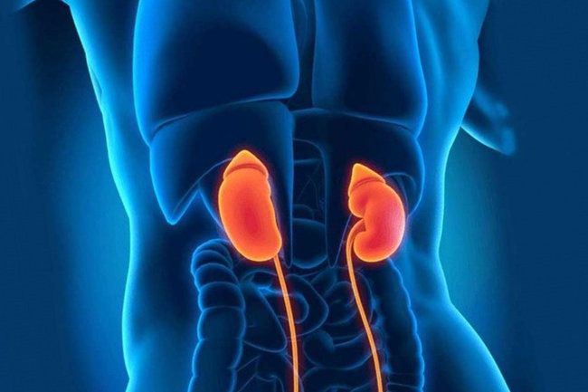 Мужчина с почкой свиньи прожил девять месяцев, установив новый рекорд