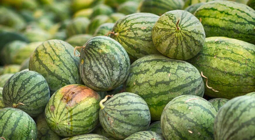 ��� ������� ���������� �����: ������ ������ ��� ������� ����������