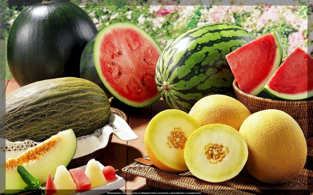 ������� ������ � ���� � �������� ��������: ��� �������� �������� ������ �� ����