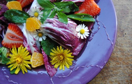 ��������� �����������: ��������� ��������� �� �������