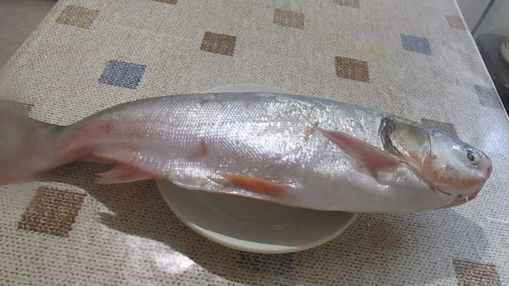 Как правильно мариновать толстолобика: раскрываем секреты вкусной рыбы