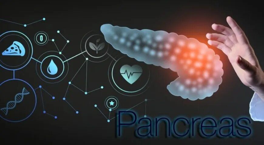 ��� ����� ����� � ����� ��� �����������: ������� ������� � ������