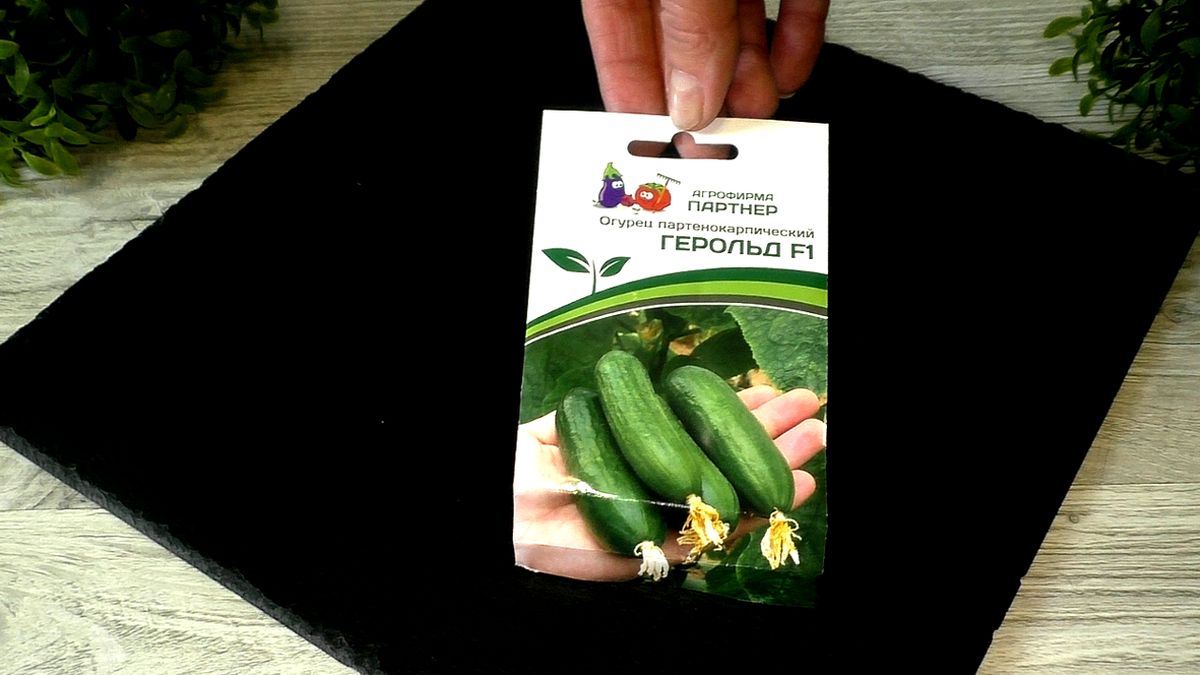 ��� ��������� ������ �� �����������: ������ ������� ������������