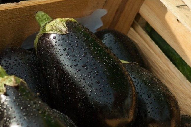 ������ ��������� ���������� � ��������: ��� ����������� ������� ���� � �������