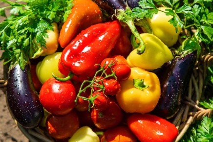 ������ ����� ������, ���������� � �������: ������ ���������