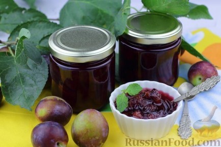 Сладкие мгновения: оригинальные блюда со сливами для вашей кухни