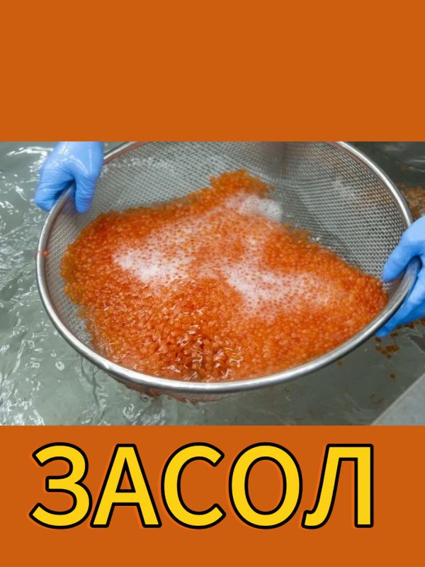 ��� ��������� �������� ����: ������� �������� � �������������