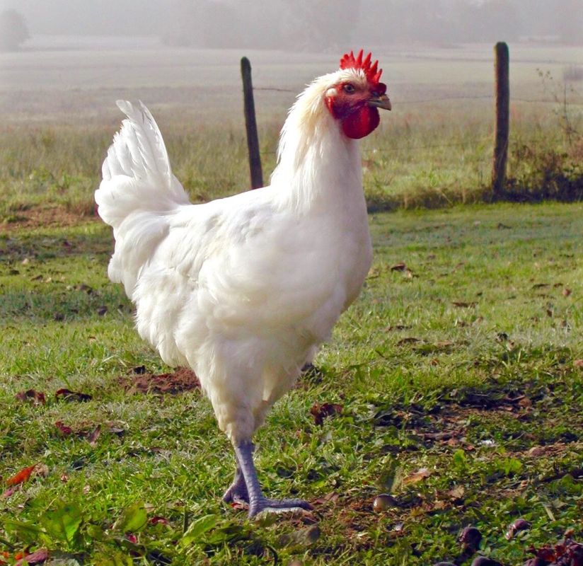 ���������� ������: ��������� ������� �����