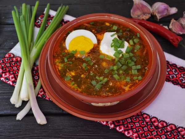 �������� ������ ����: ������ ���� ������ � ���� � ������ �����