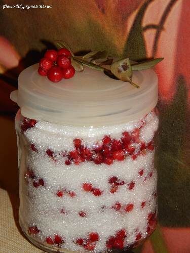 Как сохранить летние ягоды на зиму: секреты заготовки без тепловой обработки