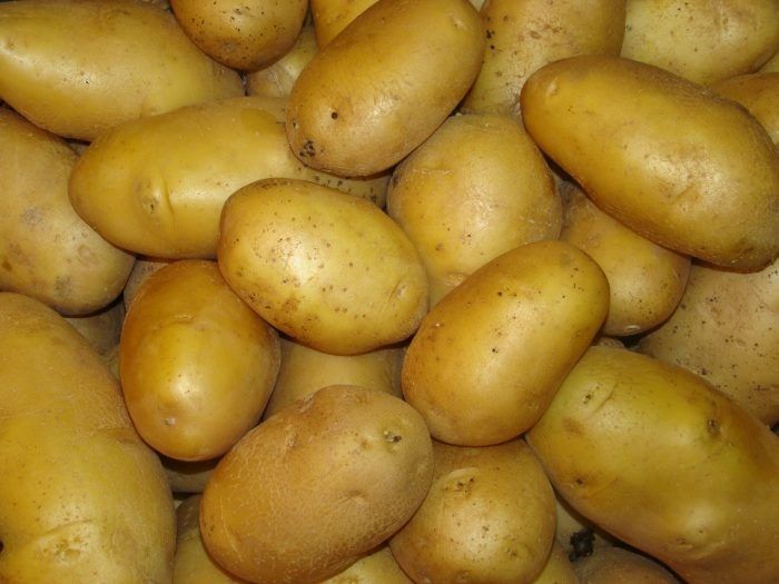 ��������� �����: ��������� ���� � �������� ��������� � ������ �������