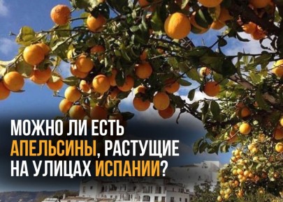 ��������� �������: ����� �� ��������� ������� �����?