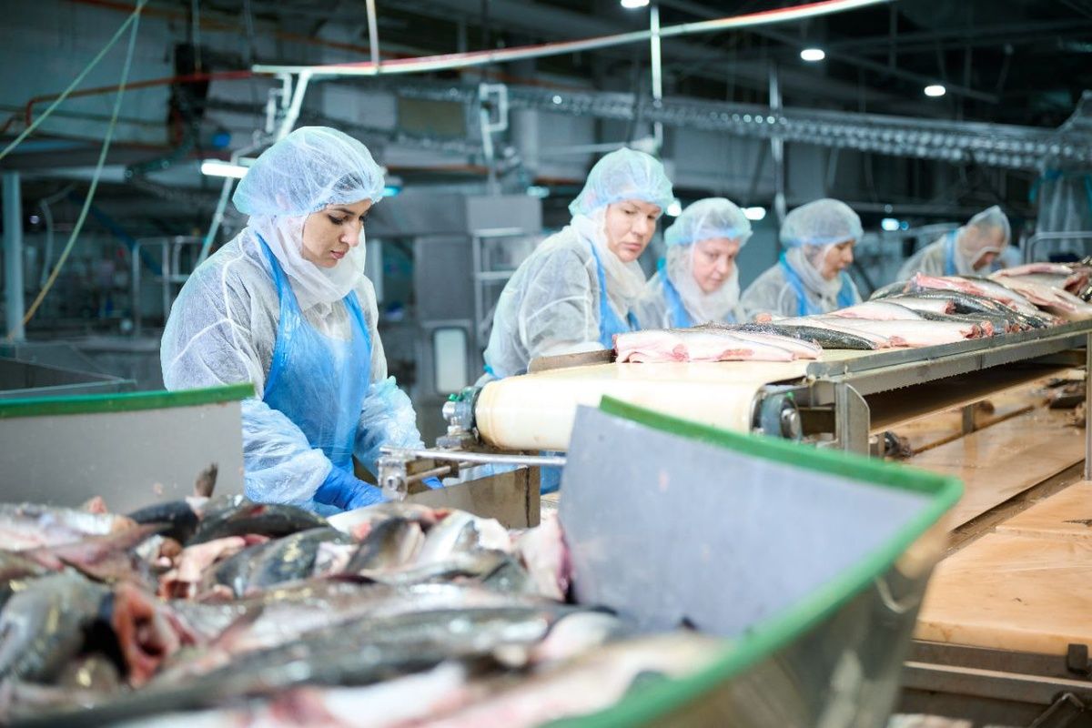Спрос на специалистов рыбной отрасли резко возрос