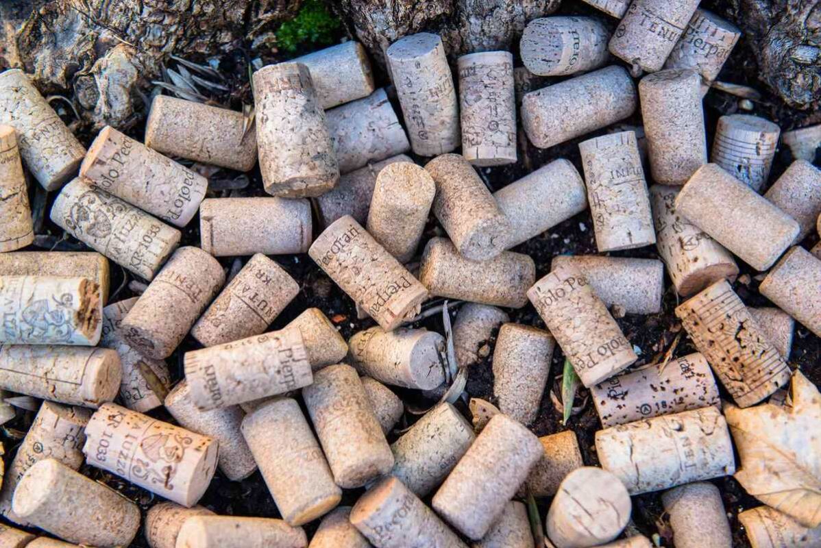 Неожиданная польза винных пробок для вашего сада