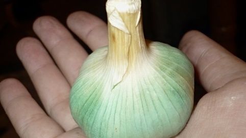 ����� ���� ������������ � ��������� � �������: 9 ��������� � 7 ��������� ��� ��������