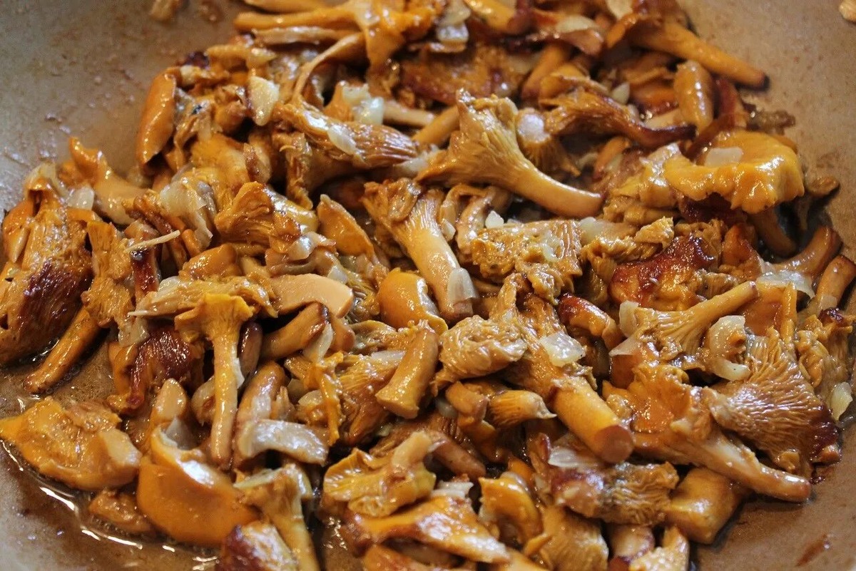 Грибы: что стоит за их удивительными свойствами