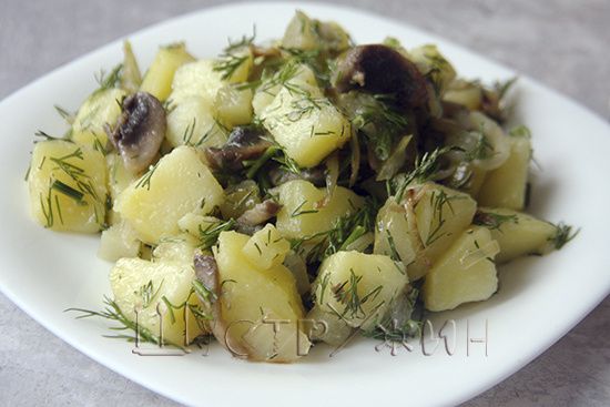 ������� ����: ���� ������� �������� ��� ������ ����