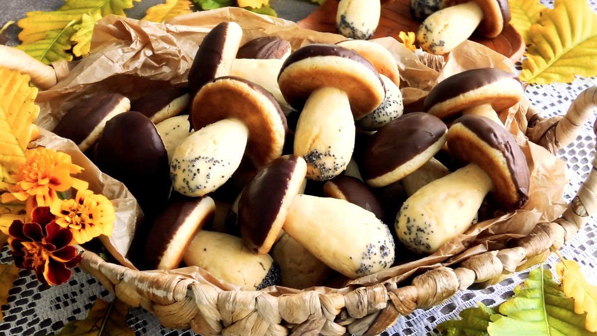 ������ �������� ������� "��������": ������ ������� ������