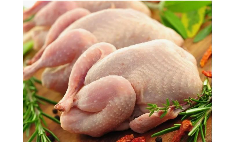 Куриное мясо: основные преимущества и вкусные рецепты