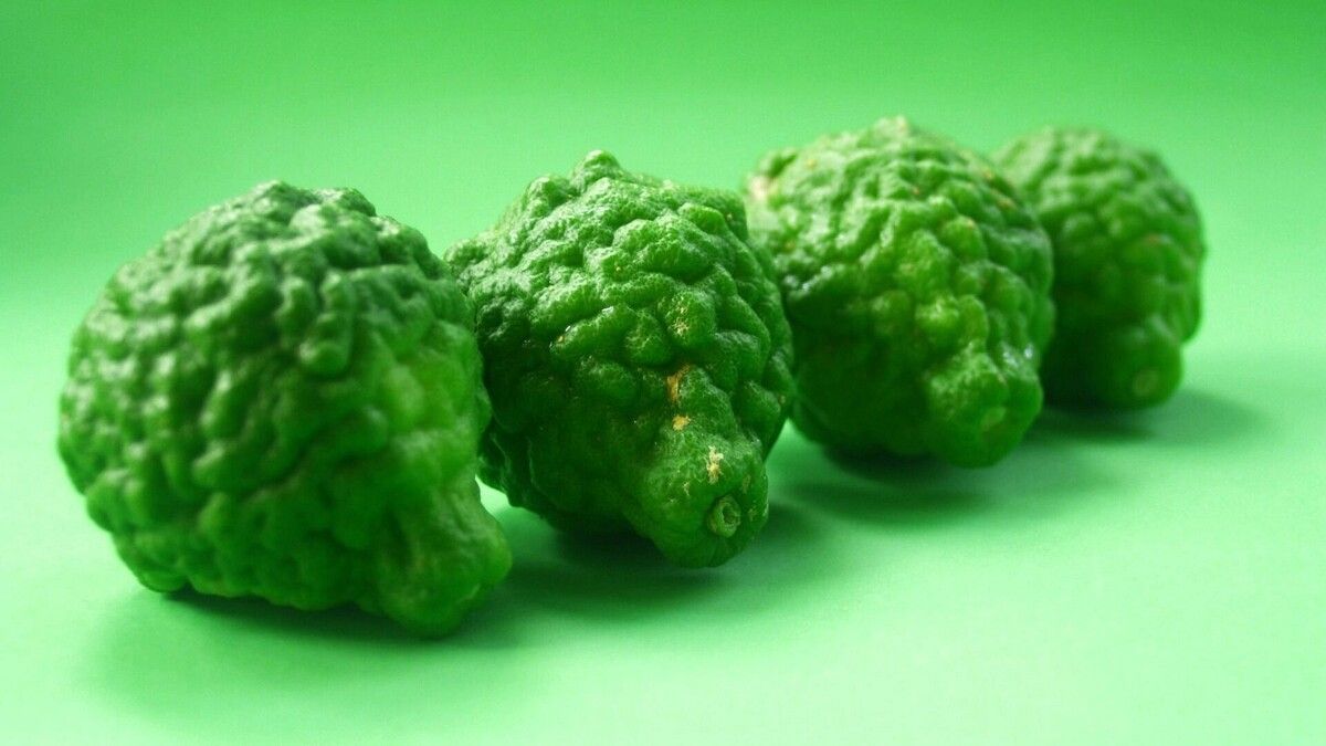 � ������������-��-����� ������� ��������� ��������