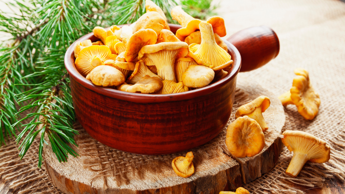 Как приготовить маринованные лисички на зиму: старинный рецепт для гурманов