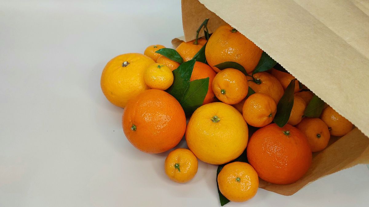 ��� ������� ������ ��������� �� ����������� ����