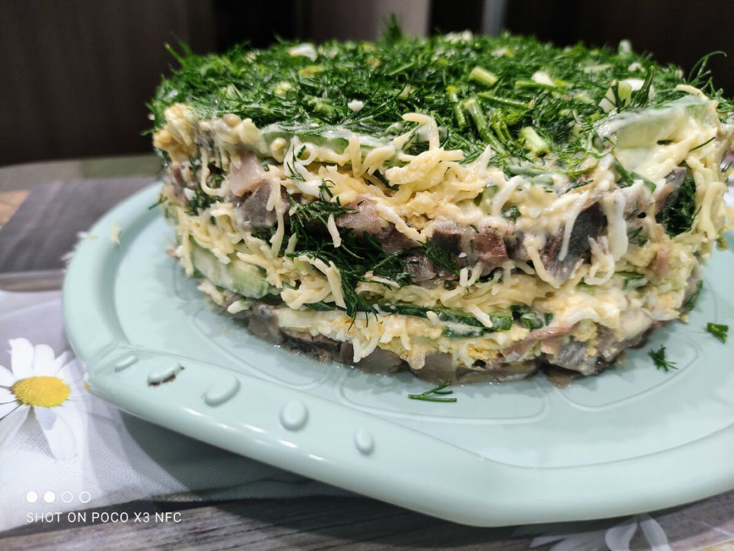 ��������� ������� ��� ����� �����: ������ ������ �� ������������ �����