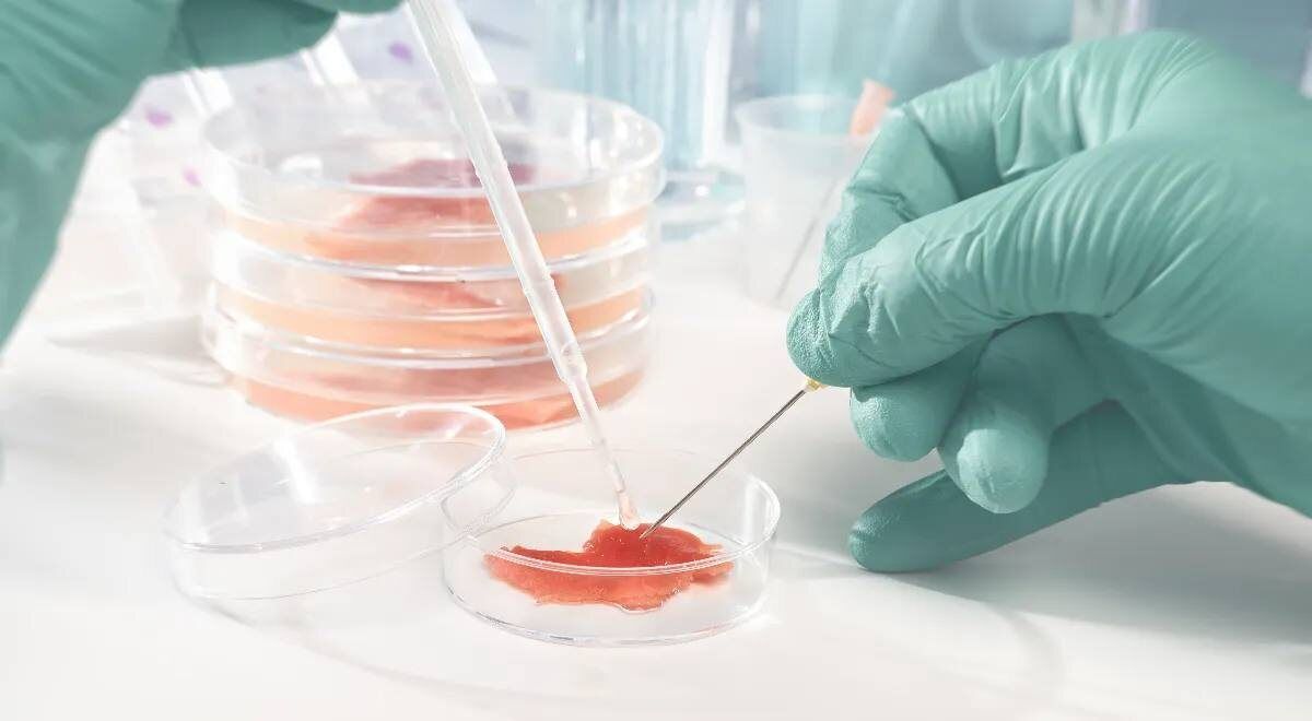 ����������� ������ ����������� ������������� ���� � �����������