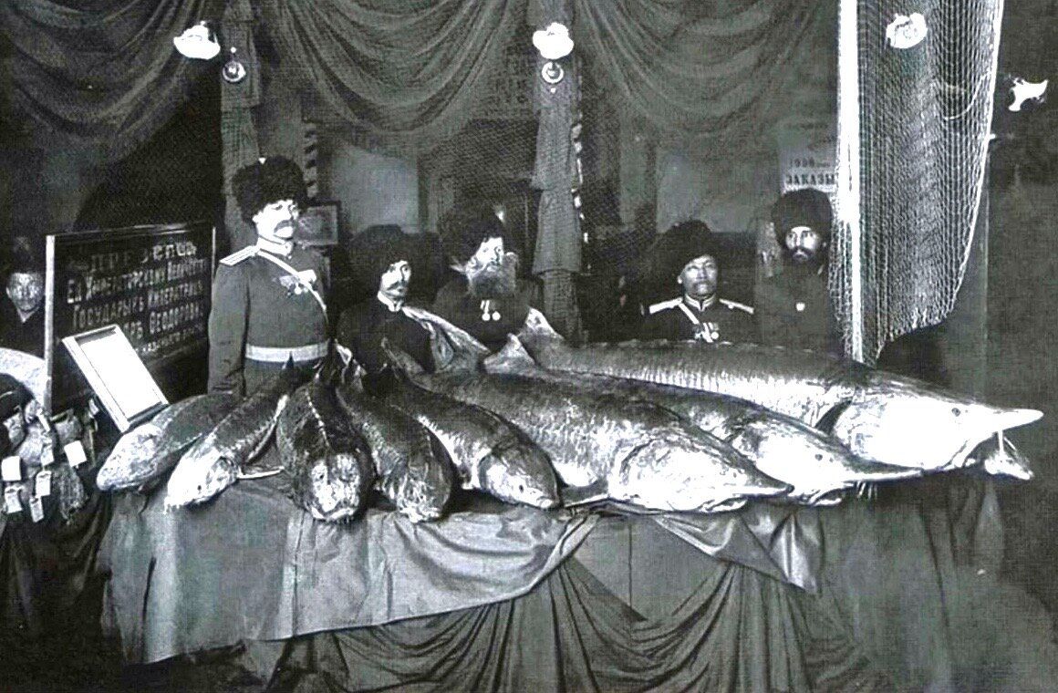 ����� ������� �����: ��� ������ ����� �������� �� ������� �����