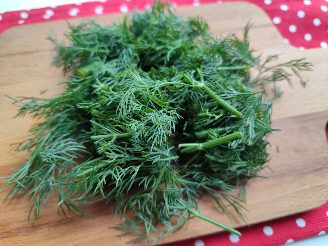 ������ ���� �� ����: ��� ����������� ������ � ������