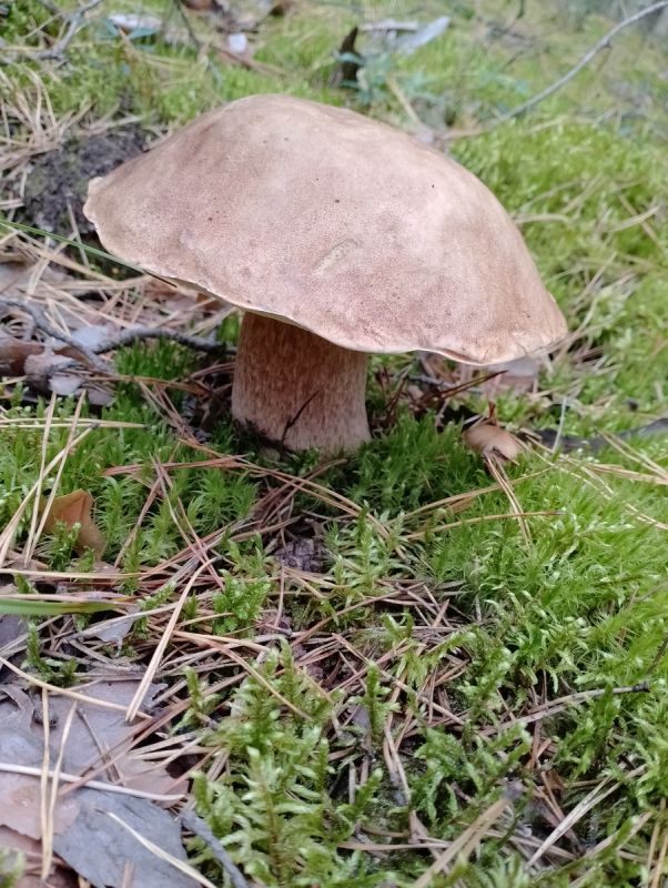 ������ ���������: ����� ����� ������ �����������