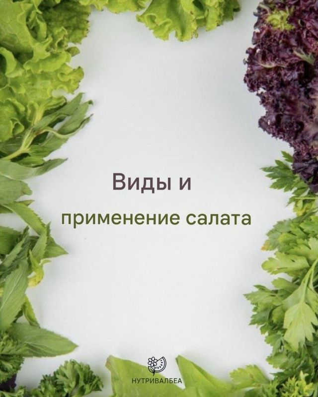 ��������� ������������ �������: �� ������� � ����������