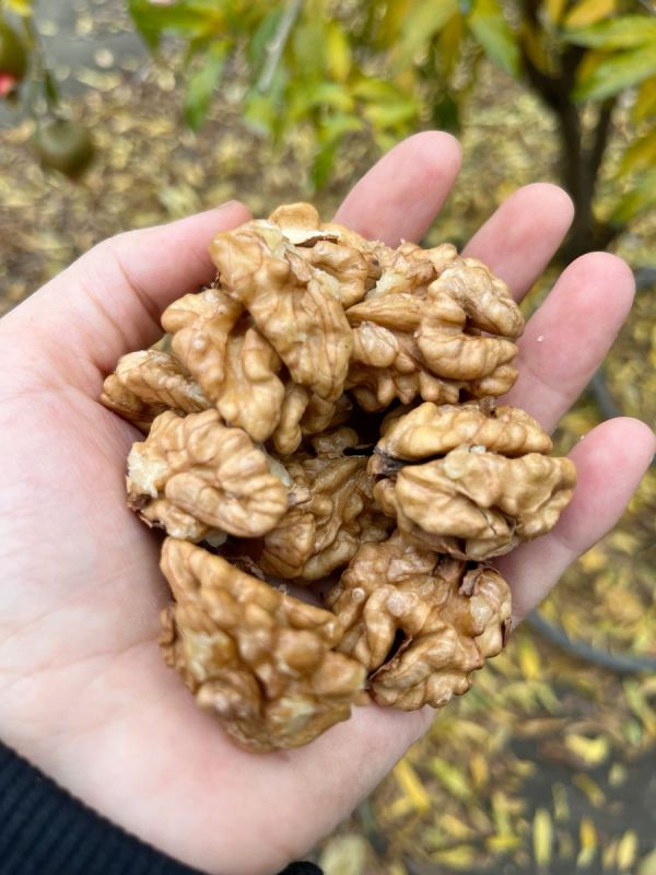 ������� �����: ��� ������ �������� � ���������� ����� 50