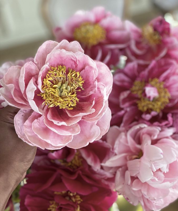 �������� �����: ������� ������� ������ ������