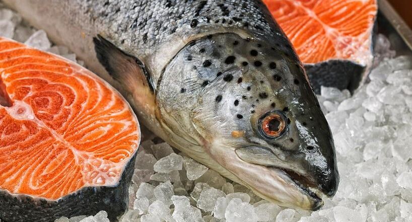 Почему россияне стали меньше есть рыбы: рост цен на лосось и другие факторы