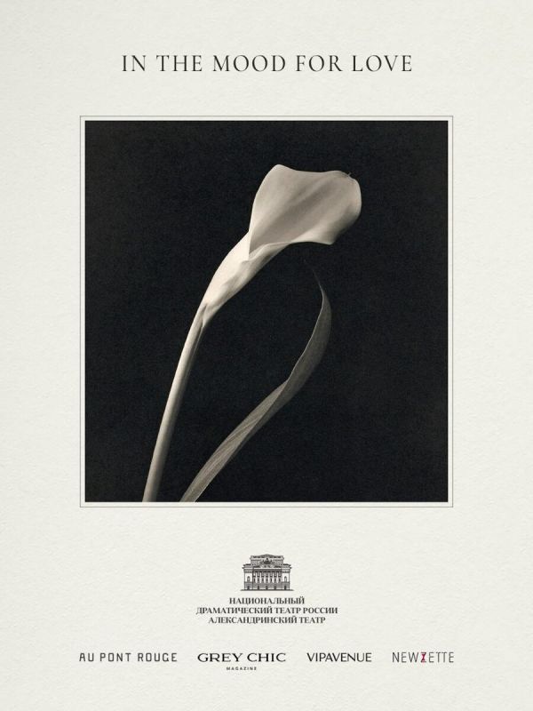 � ��������� �� �����: ���������������� ����� � KIRA � ��� ������� ���������