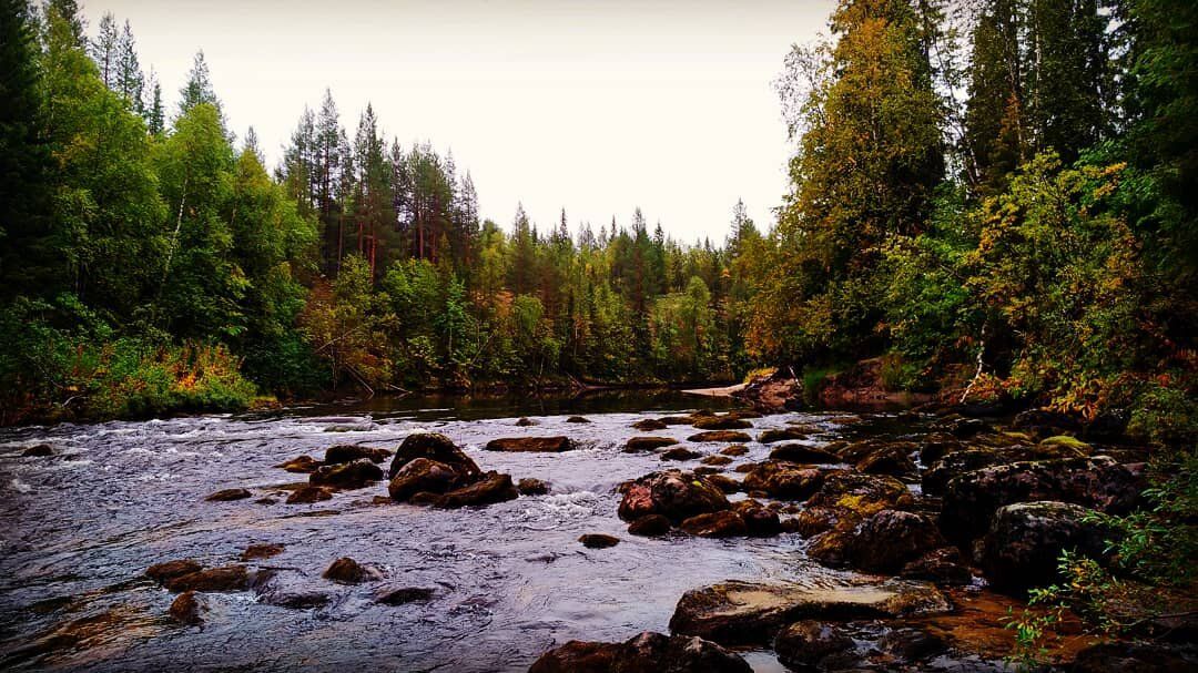 ������� ����� ������ �������: ��� ����������� �����