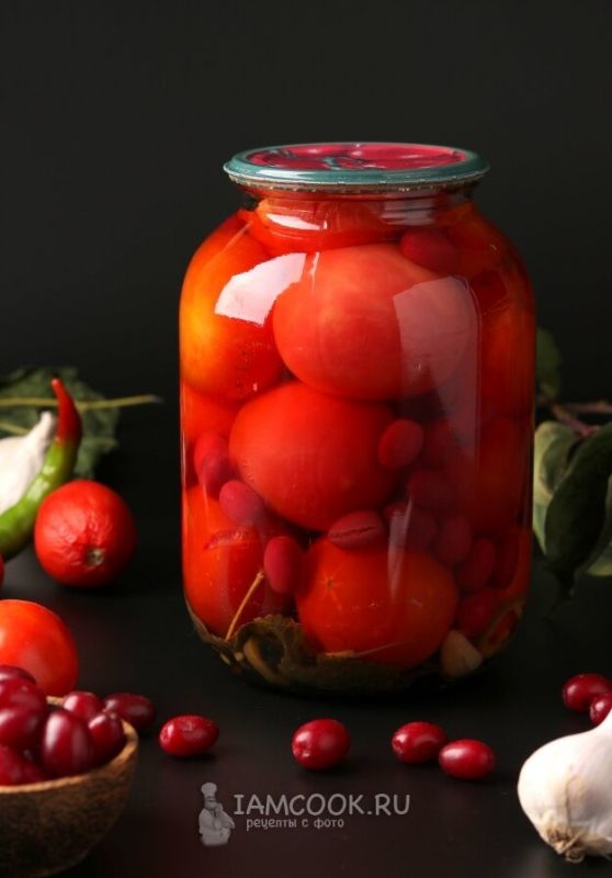 ������ � ������� �� ����: ����������� ������ �������� �����������